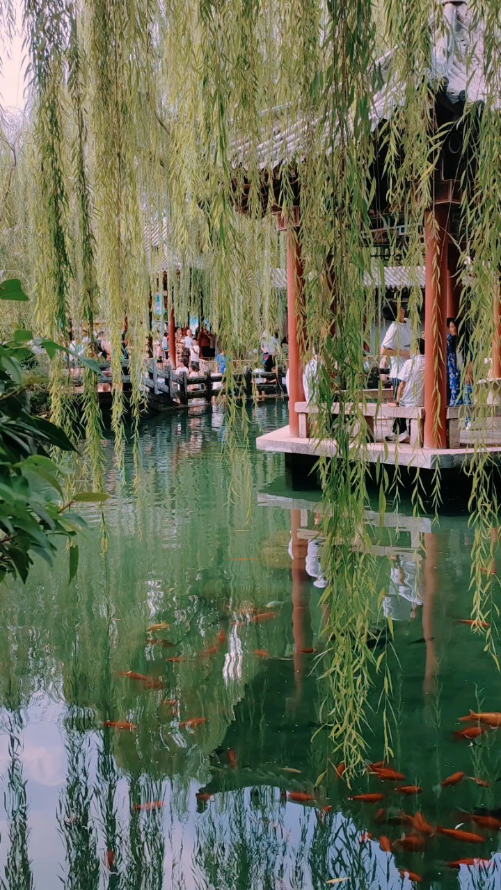 济南五龙潭公园风景独好