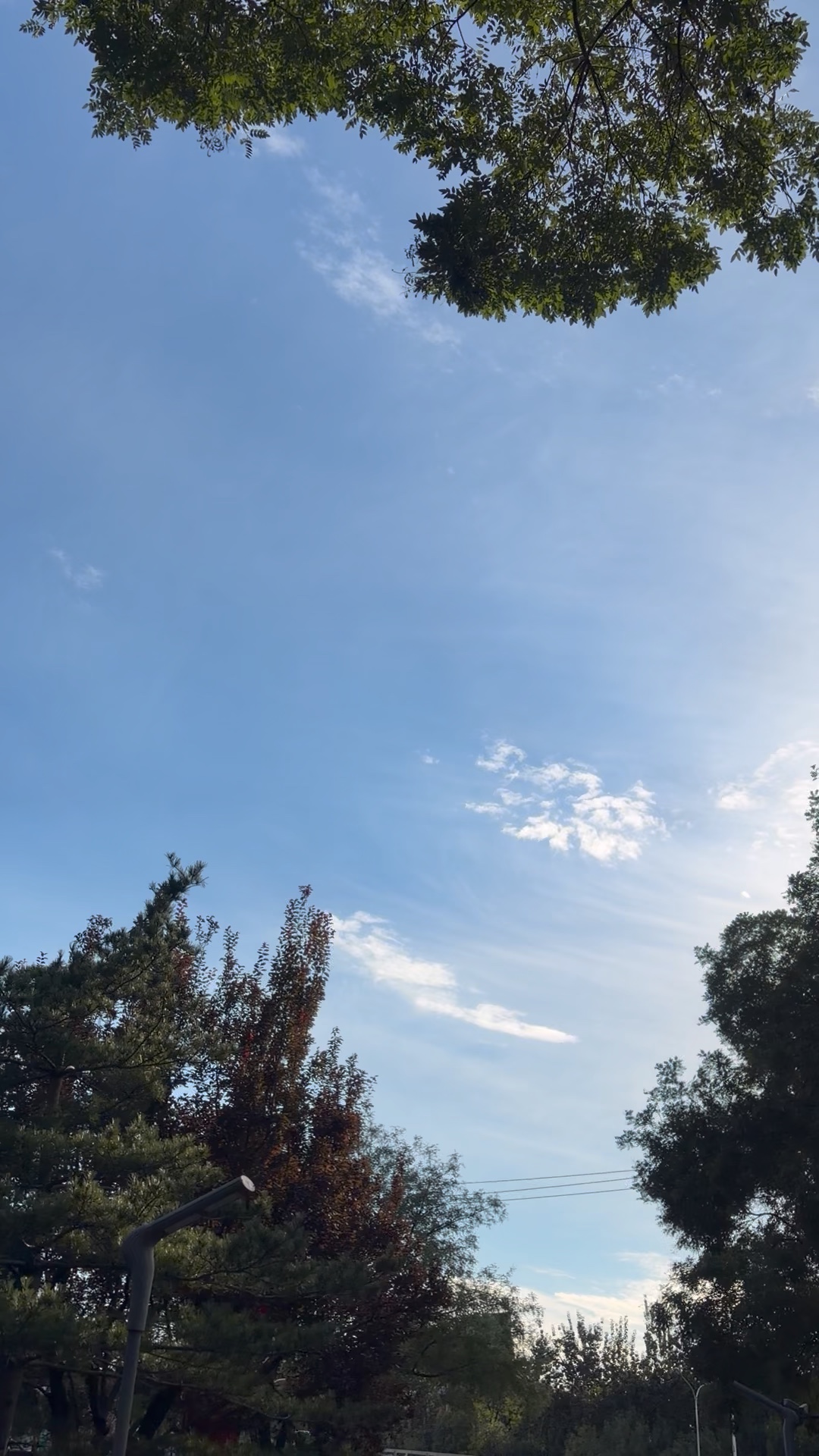 是蓝天的白云还是白云的蓝天 她们相互衬托 彼此成就