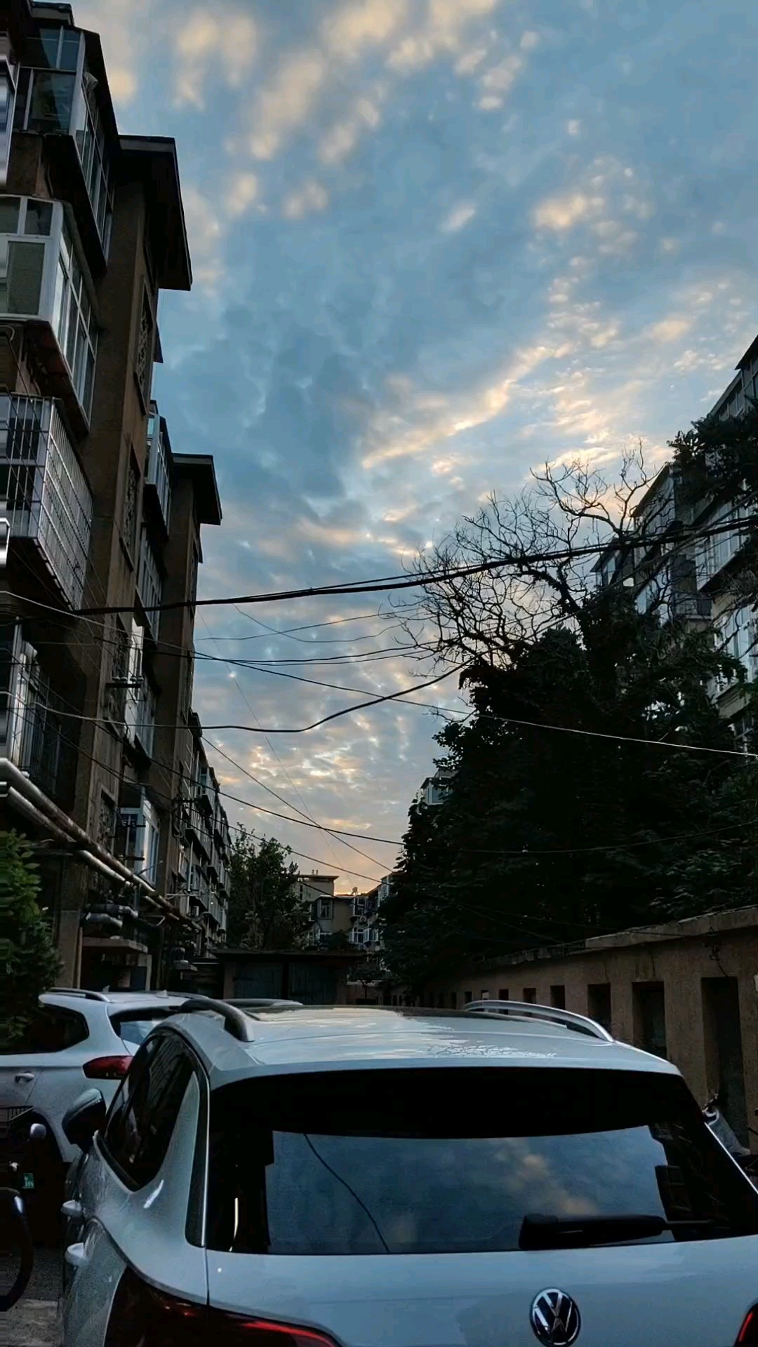 九月九日看彩虹，鲜花彩虹相映红。2026年9月9日傍晚。