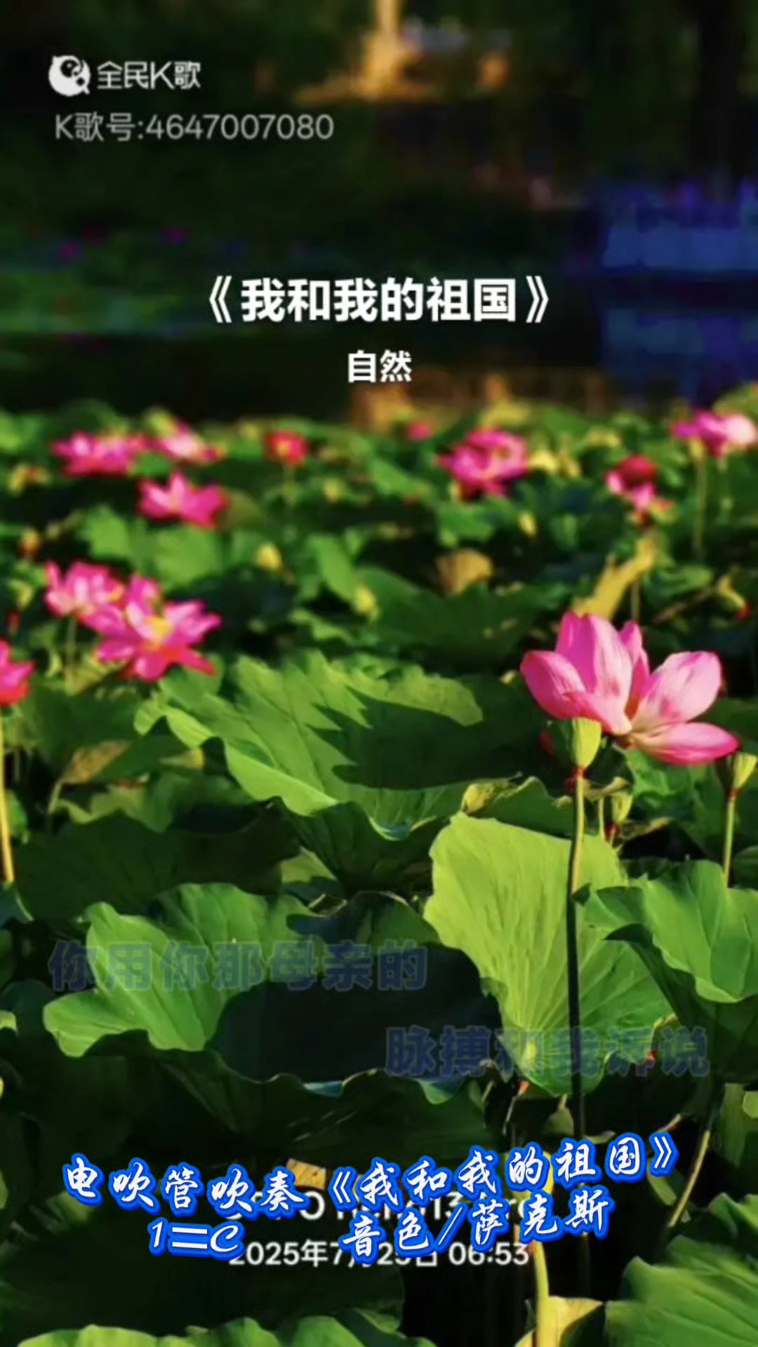 电吹管吹奏《我和我的祖国》/亓桂香