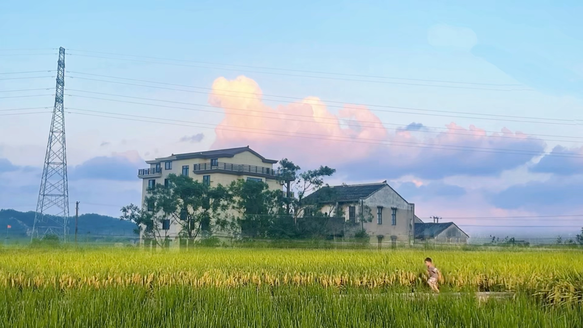 旧屋观云静，少年踏稻欢