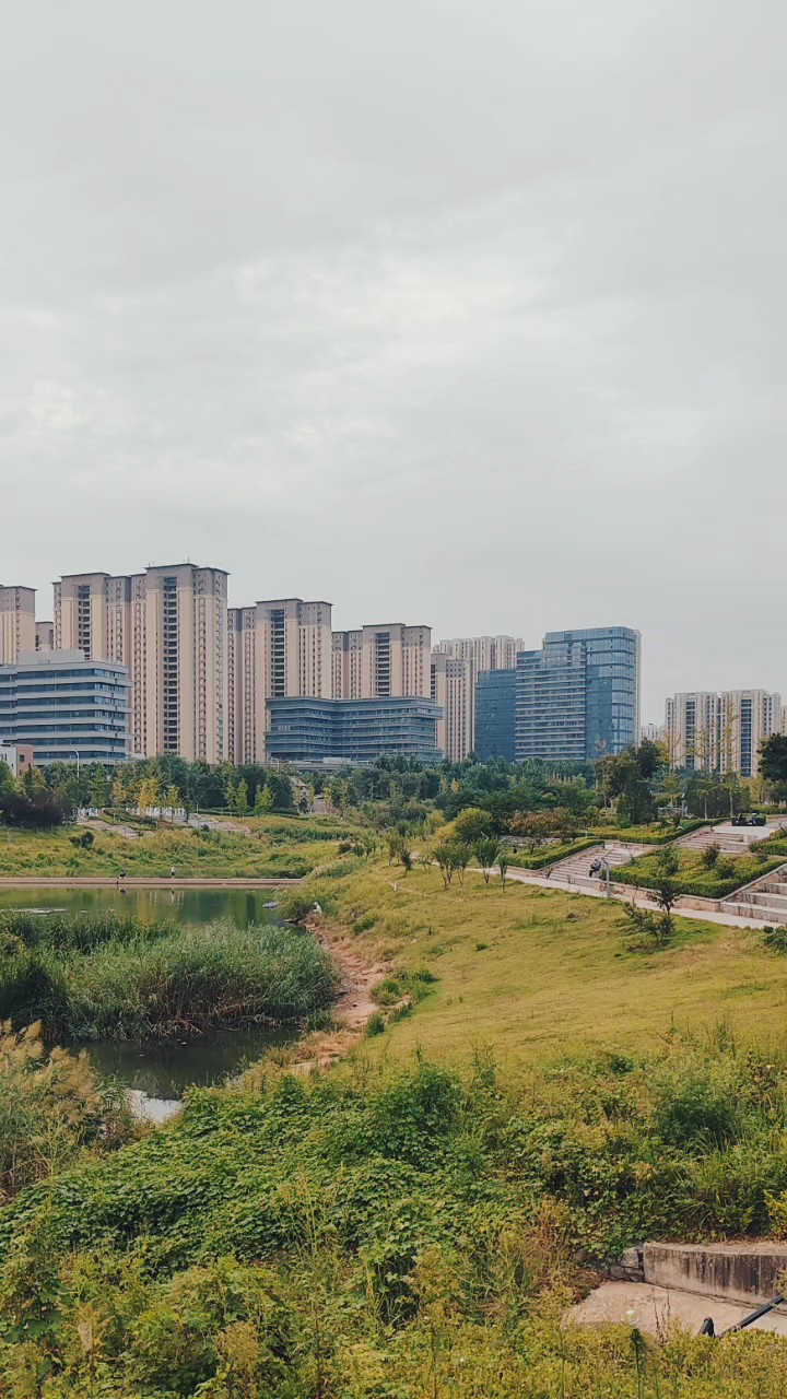 岁月向晚人间秋好，站在河边赏秋不问秋风不问云寻常日子有喜乐
