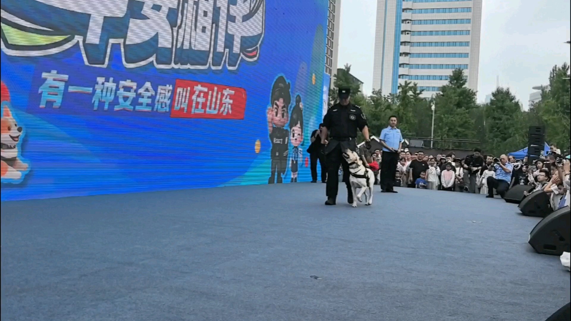 警犬训练是集专业性、观赏性和互动性于一体的活动！