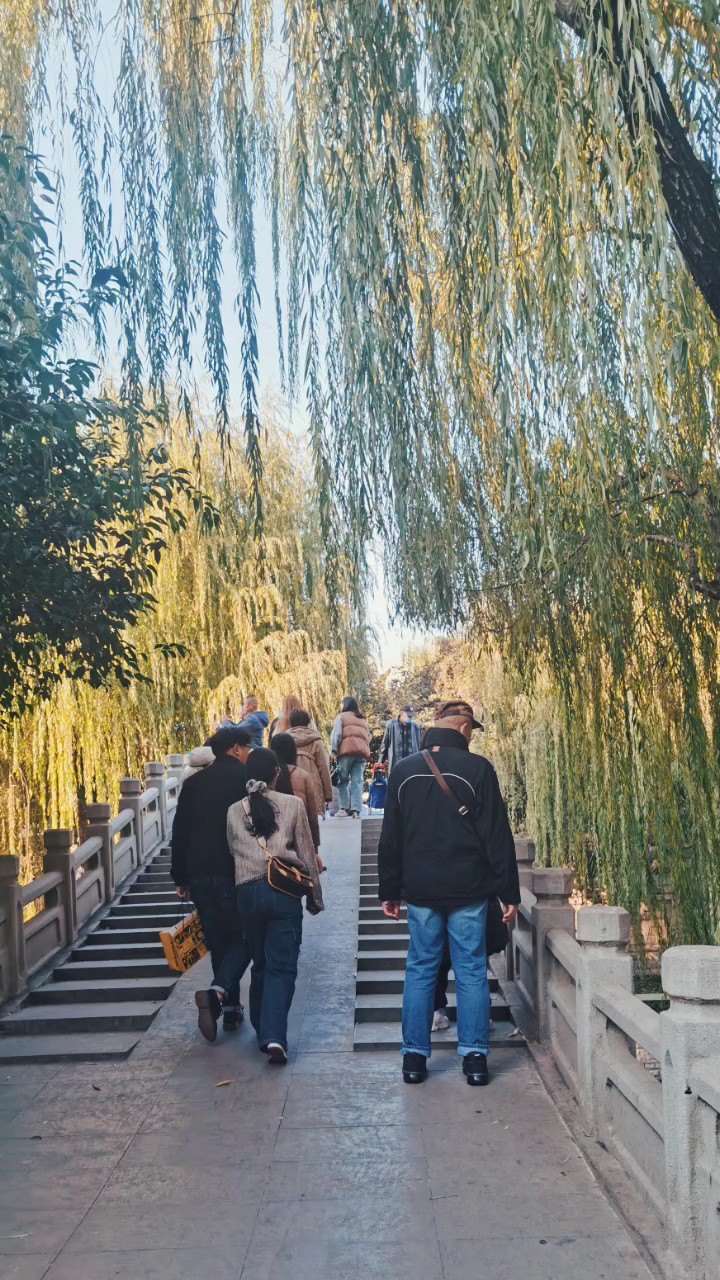 走在济南护城河边，倒柳依依身边的风景也都变成了秋天的模样