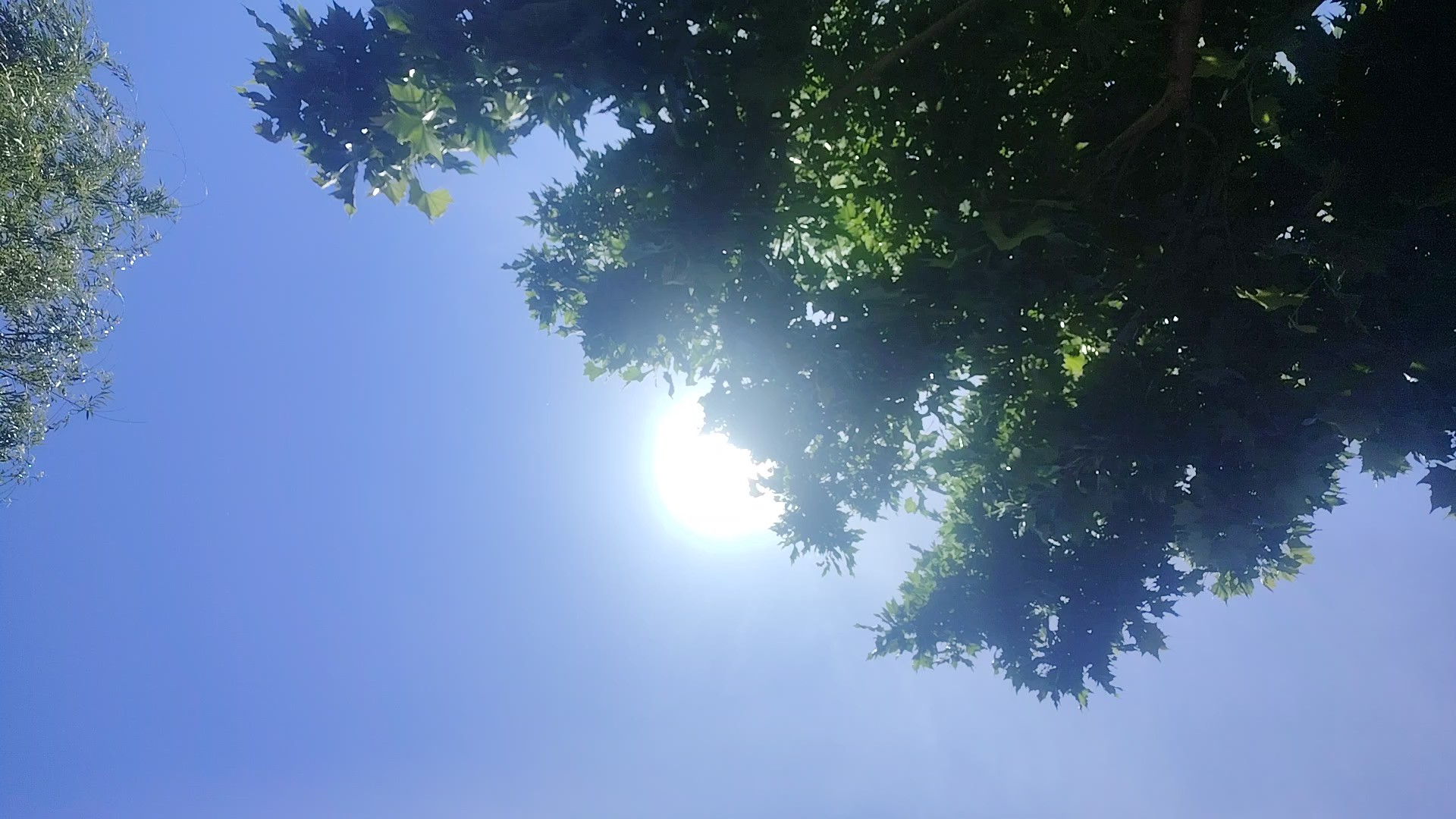 蓝天下的光晕之美