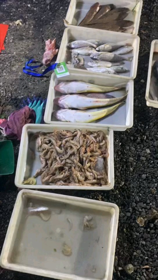 今日鱼货，鲜度无敌，而价格绝对惊掉你的下巴，现在不吃何时吃…