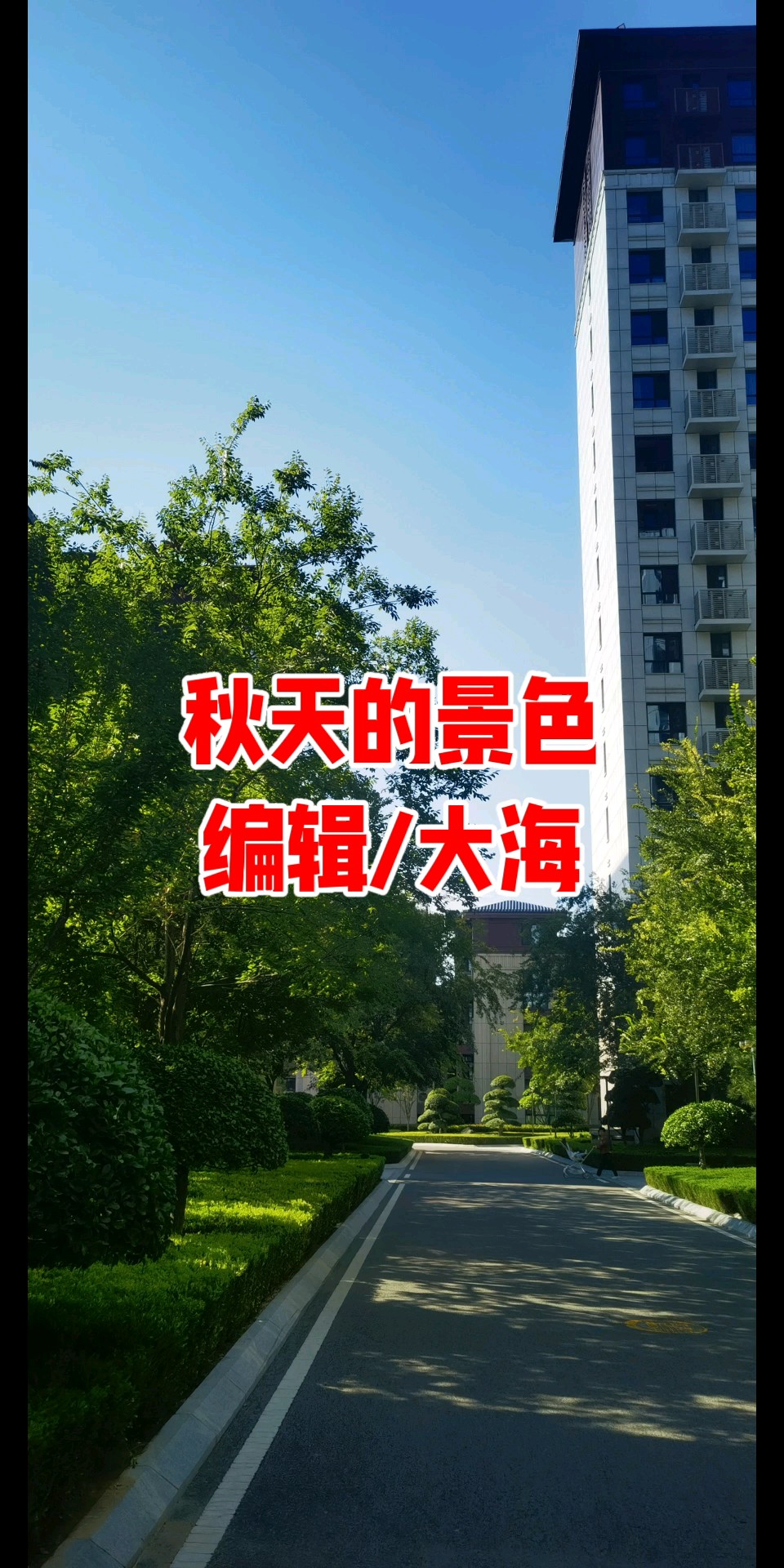 秋天的景色/摄影/大海