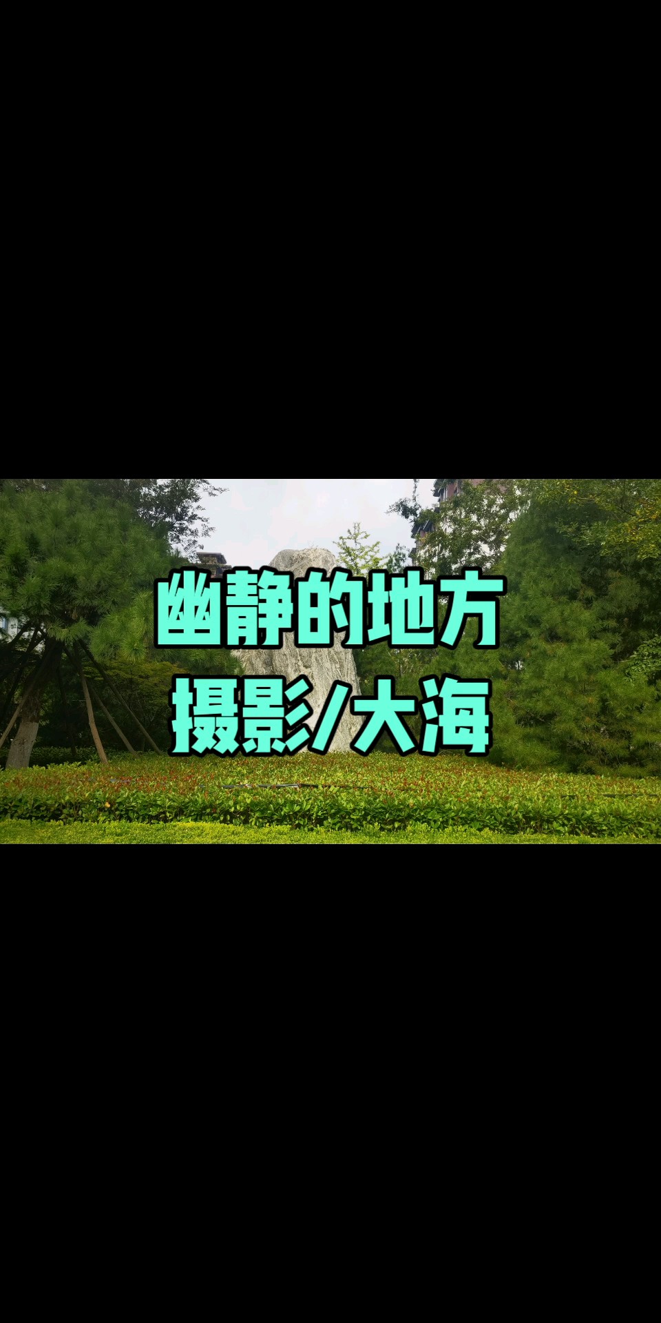幽静的地方/摄影/大海