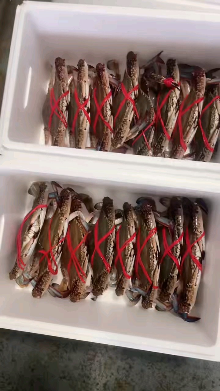 看这几箱螃蟹装得多板正，有强迫症的人干活就是这么顺眼……