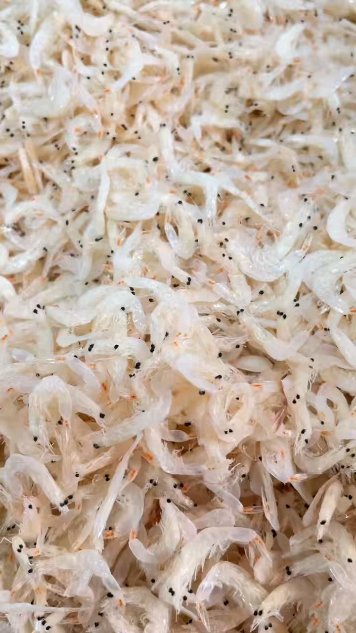 顶好的渤海湾虾皮，无盐纯淡干，洁白无瑕，一看就有食欲……