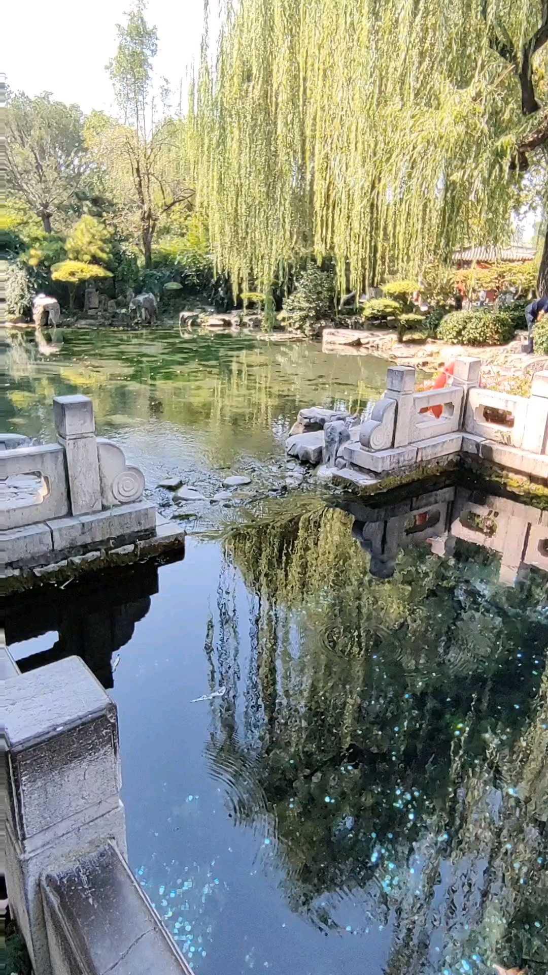 清照门前漱玉泉，游客围定细留览，美景满园。