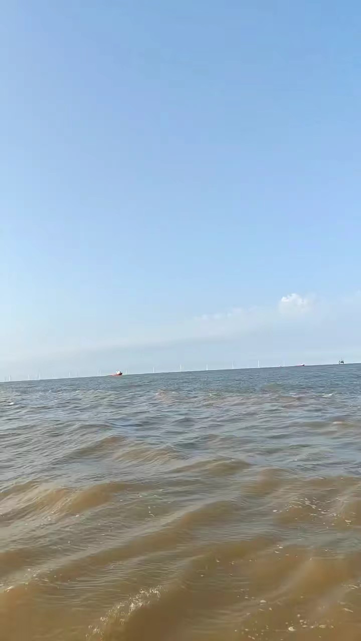 黄河口的风带着咸咸的味道轻轻吹过脸颊仿佛是大自然最温柔的抚摸