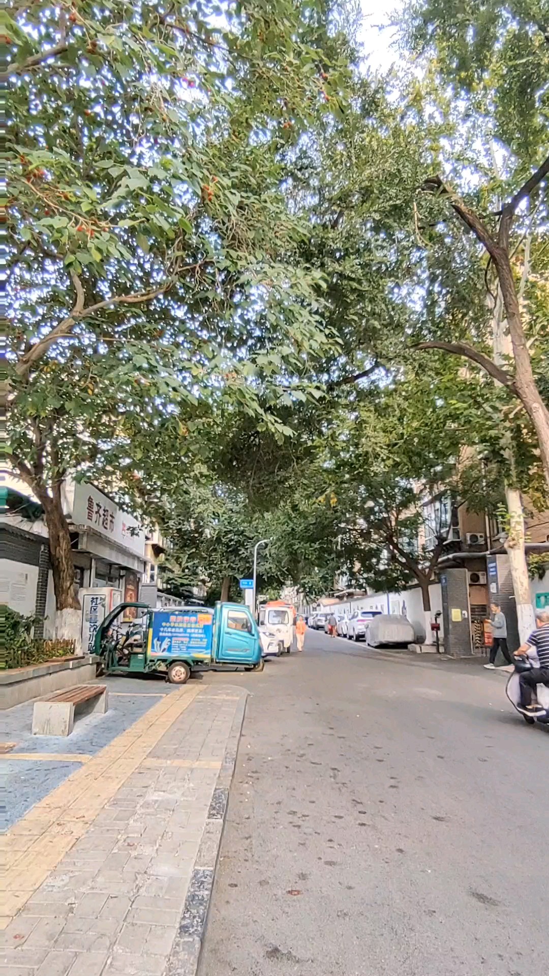 落叶时分，街面干净，通行有序；丰收季节，果实累累，鲜花怒放。