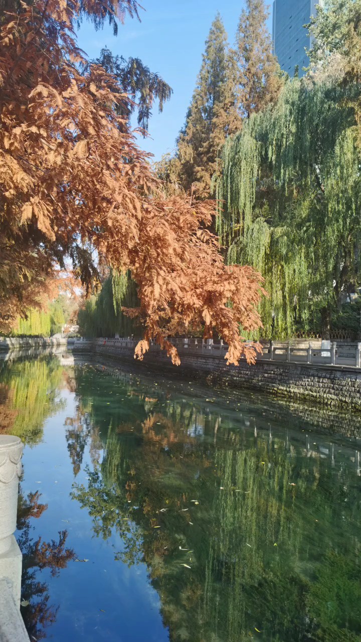 济南护城河环城流淌，一水串联众泉古桥一步一景步步见泉风景如画