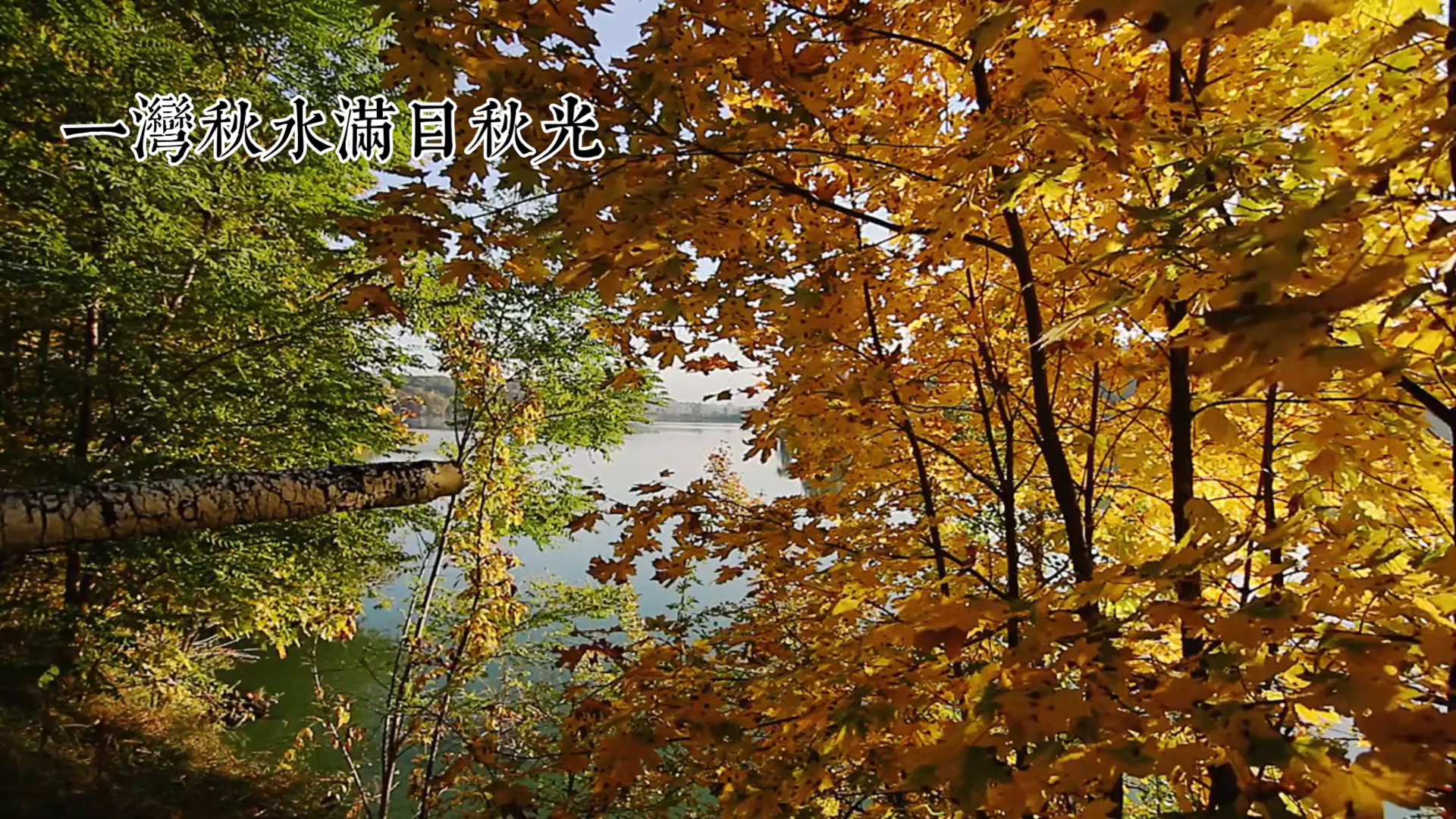 一湾秋水满目秋光（AI创作）