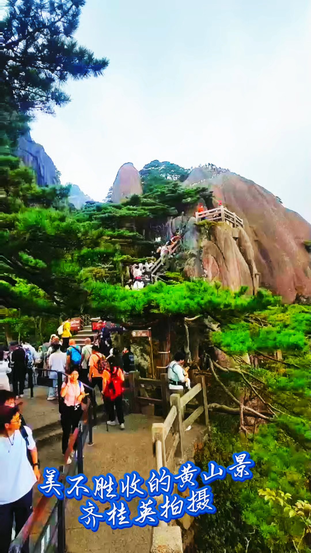 黄山风景美如画