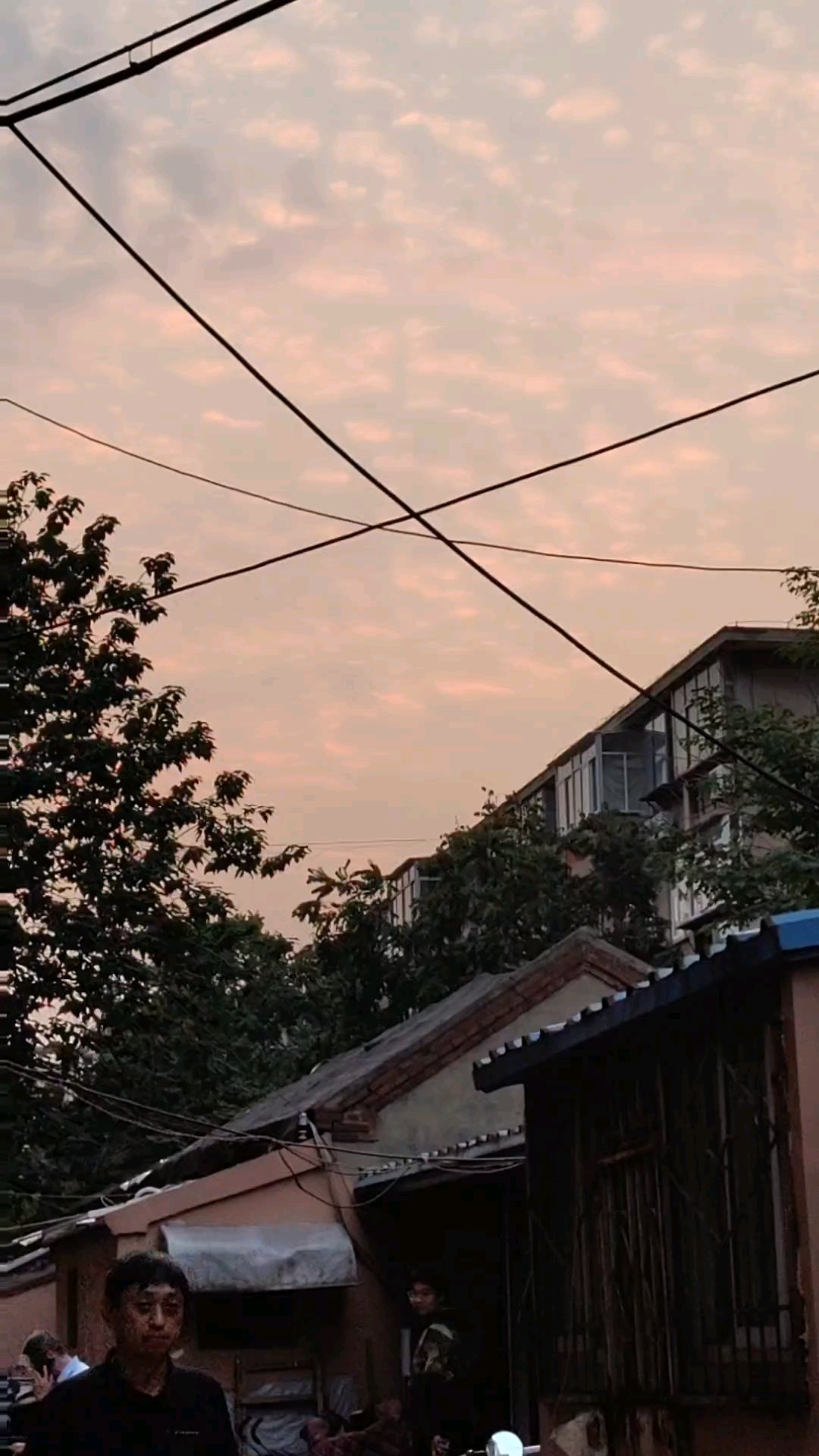 站在门口看晚霞，朵朵彩云如飞花。