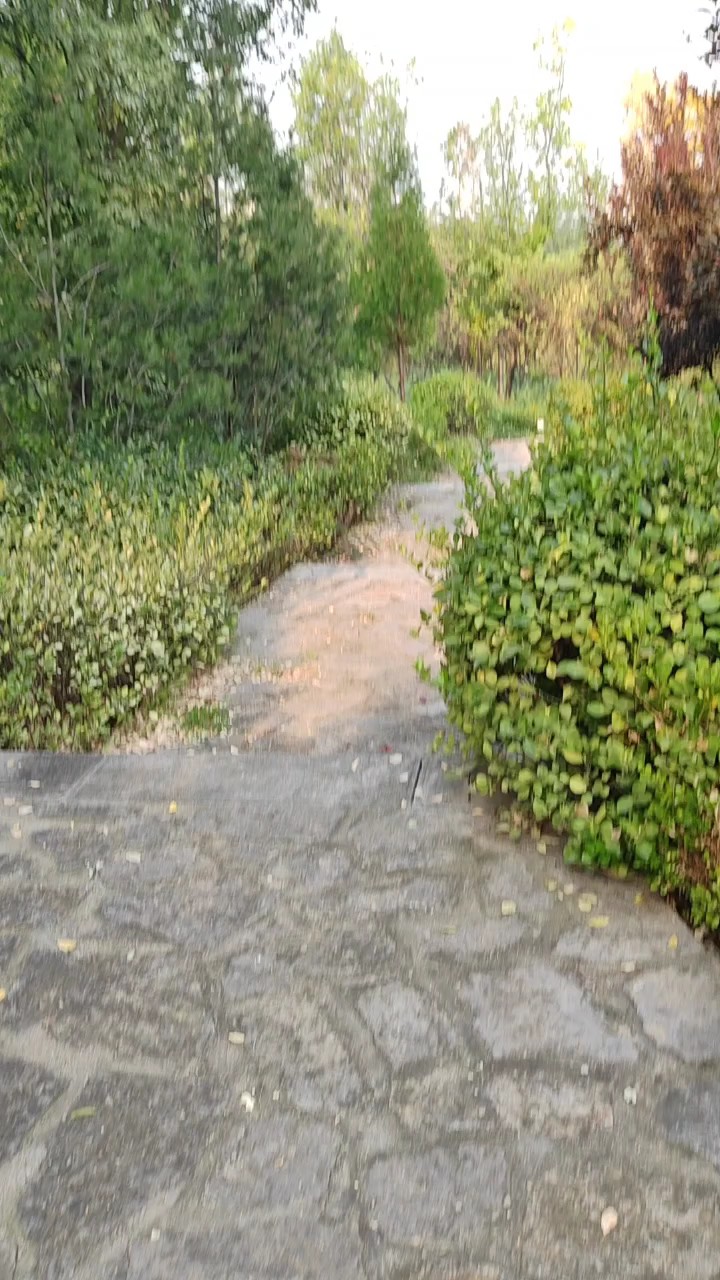 登山吸氧用脚步解锁美好，山间草木续秋色登高望远赏秋拍秋很快乐