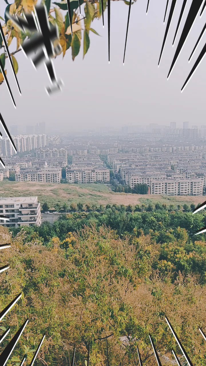 登高望远雾蒙蒙，蒋山山顶无人影静观风景心情畅满目秋色留心中