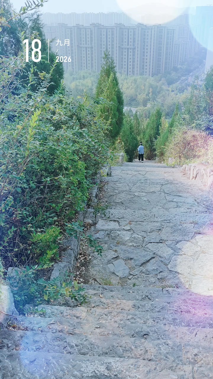 秋日蒋山天气凉，身后林木山风吹碧空流云沐清风秋色分明满苍穹