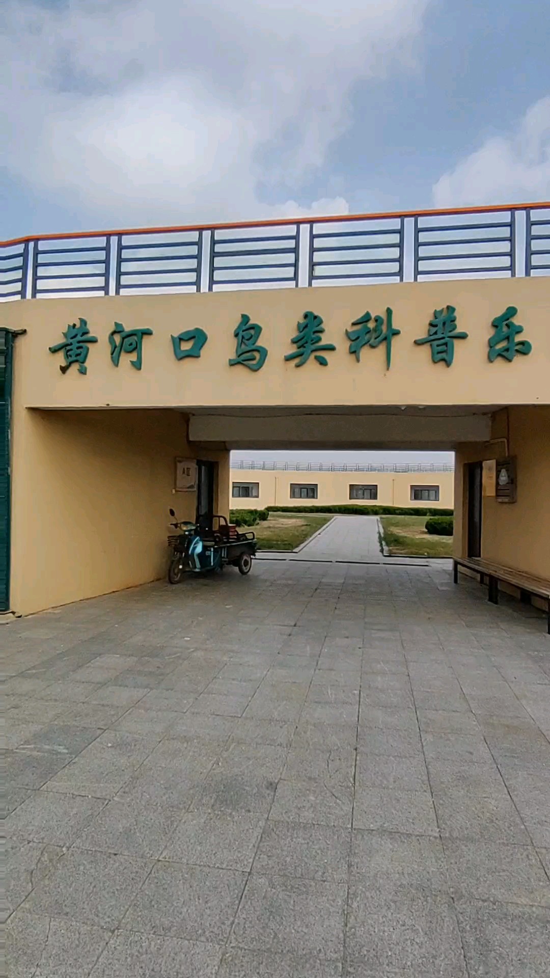 黄河口鸟类科普乐园，每天下午二点半，开展放飞活动。