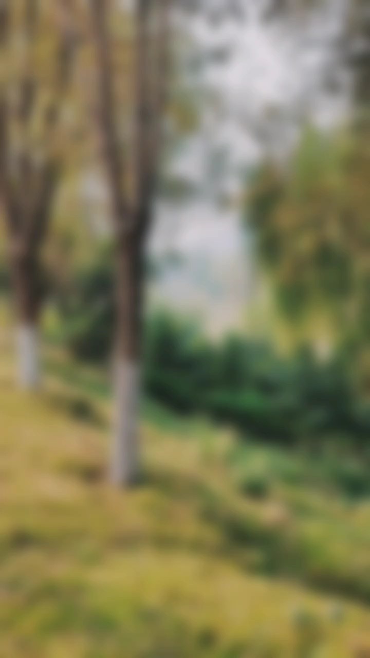 秋天的韩仓河装点着时光的色彩