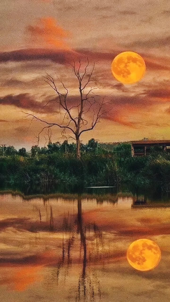 最美不过夕阳红，温馨又从容