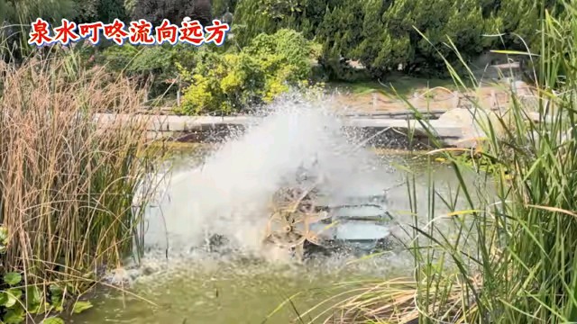 泉水叮咚流向远方