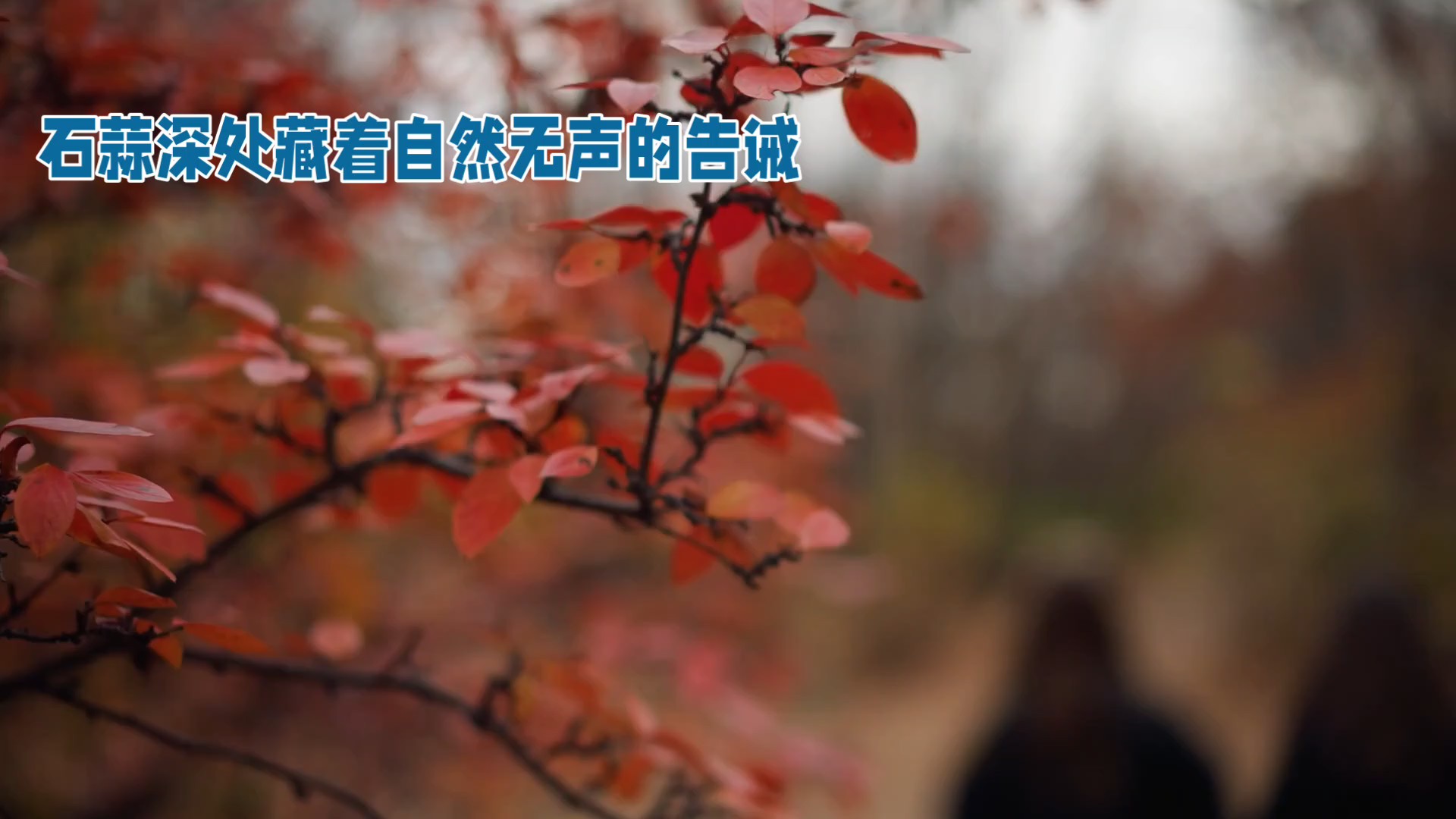 石蒜深处藏着自然无声的告诫（AI创作）