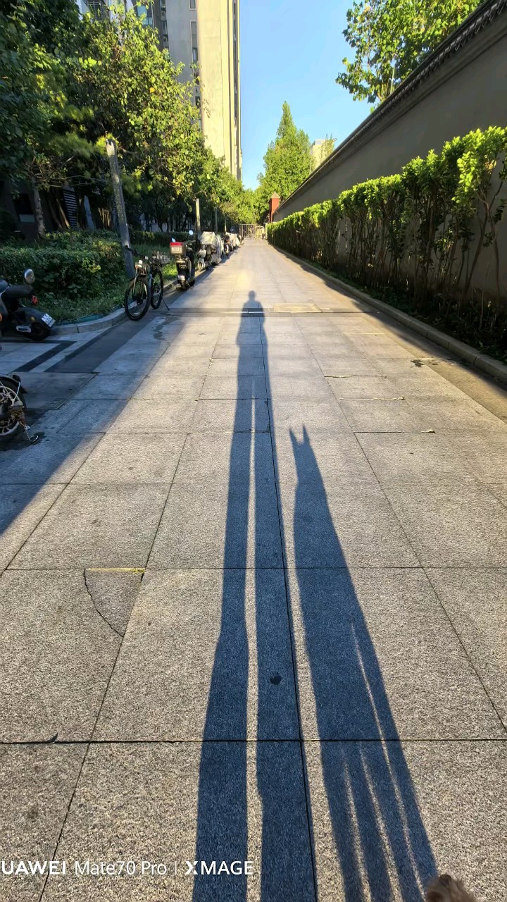 今天是个好日子，大街上像我一样一人一狗的老成人真的不少啊……