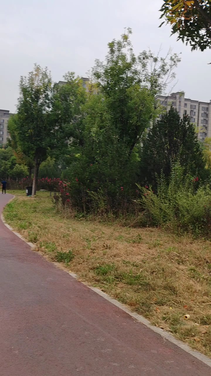 大自然的歌声在韩仓河广场响起