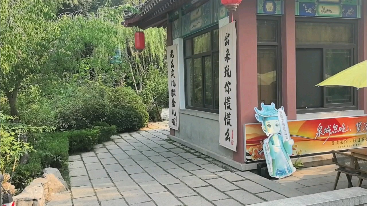 别慌，跟着你看飞鸟山水，自在得很，咱们慢慢逛，好好赏景拍鸟！