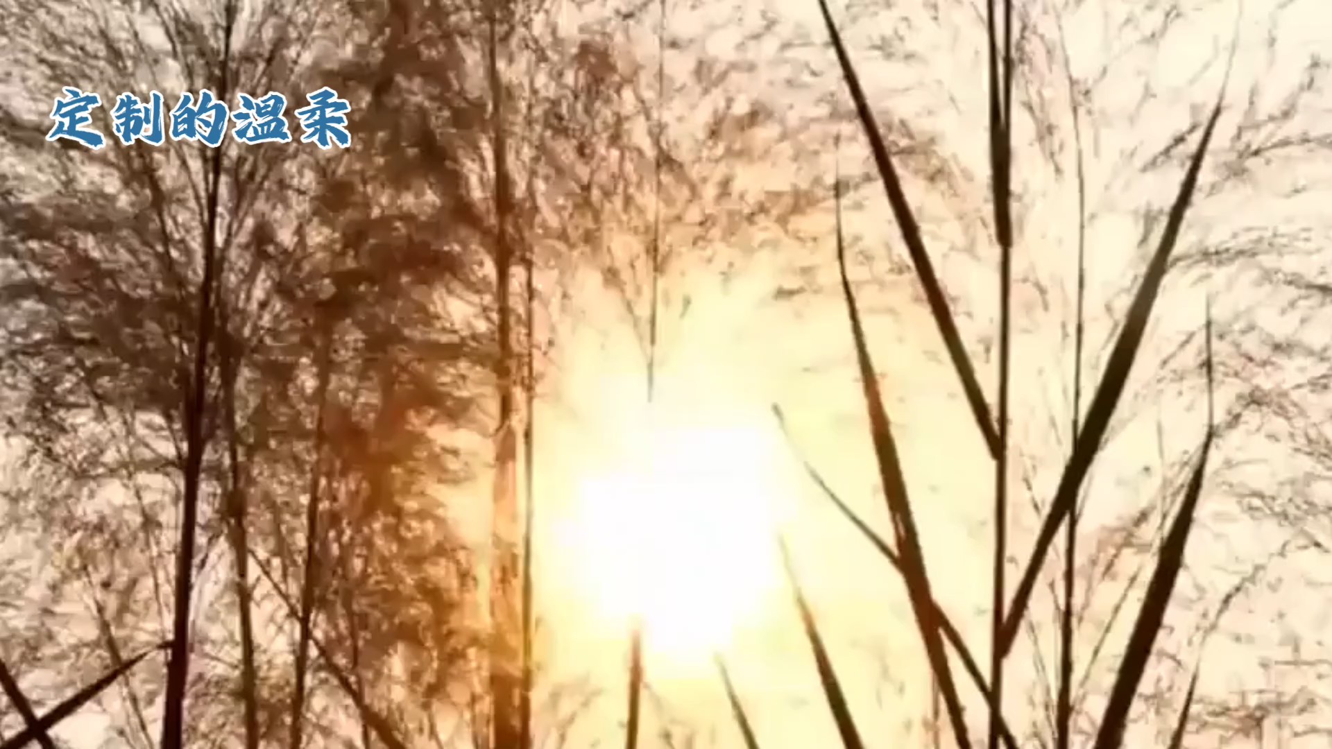 定制的温柔（AI创作）