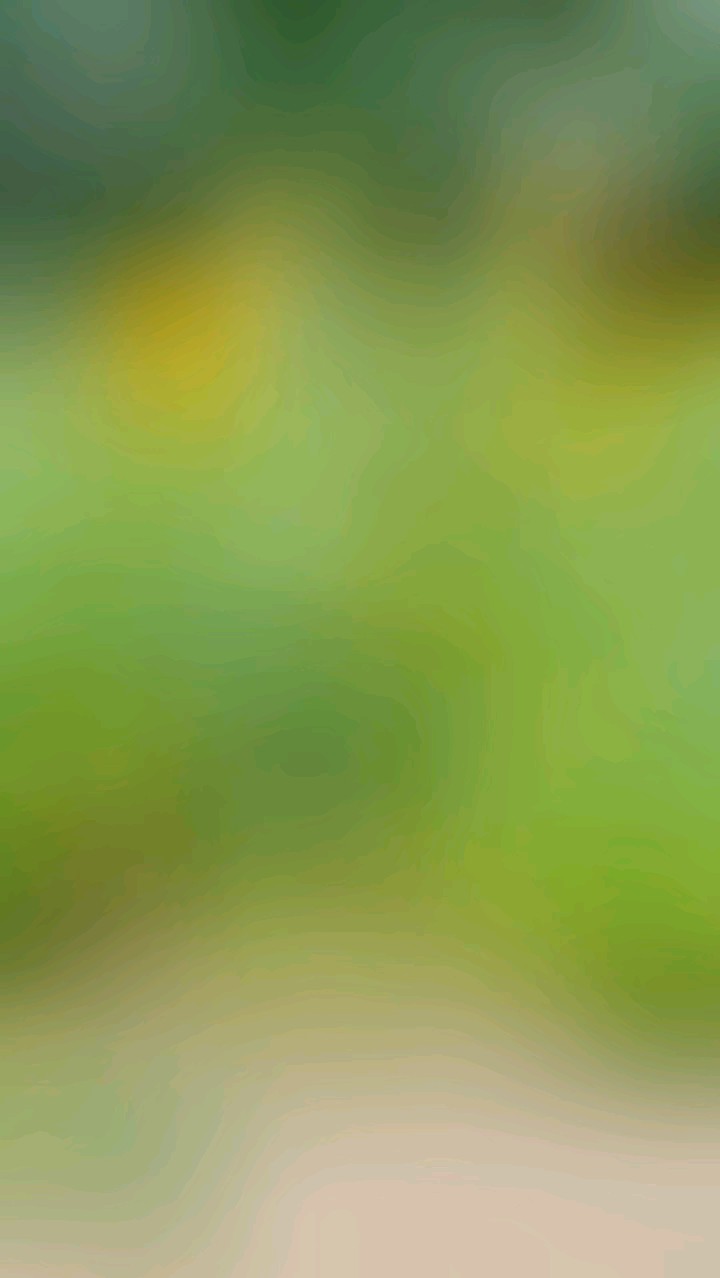 向阳而生，逐光而行！