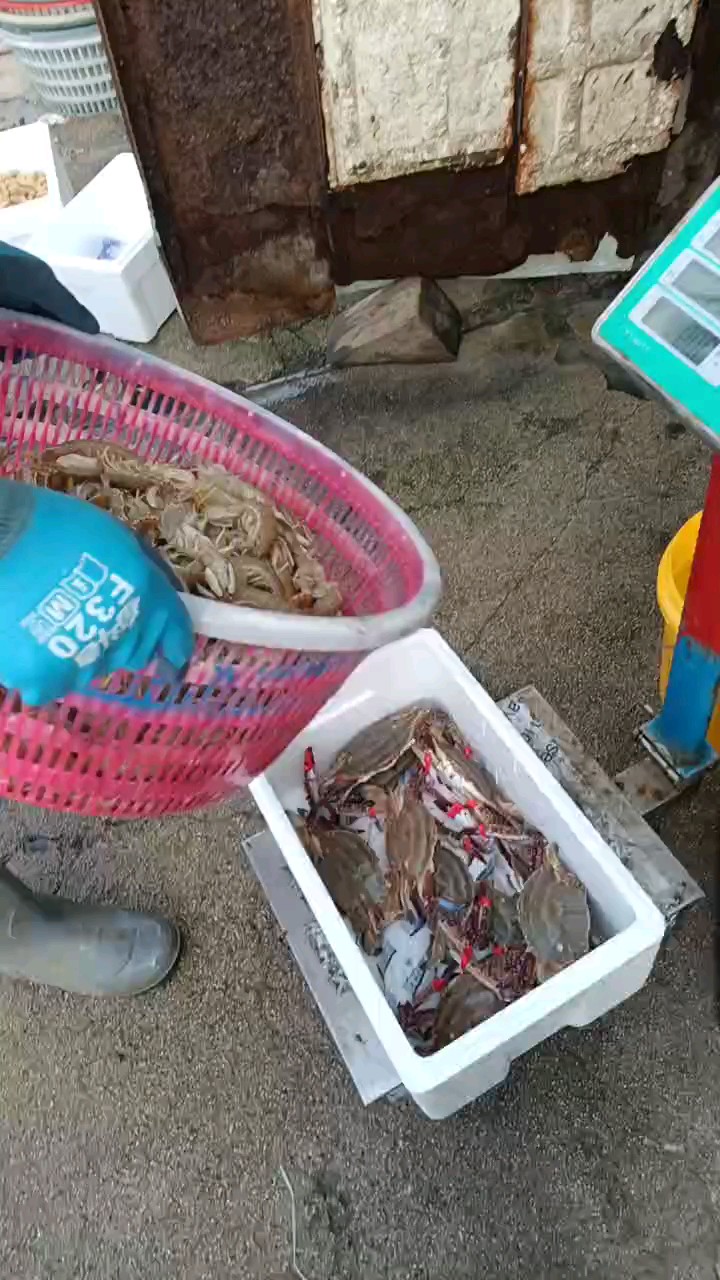 随着双节的来临，各种海鲜越来越多装箱发运全国各地价格怎能不涨