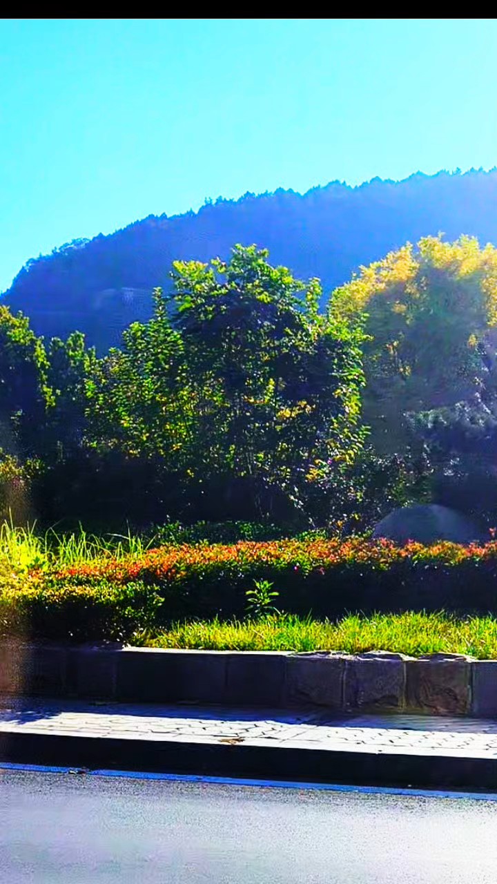 坐在车上拍风景