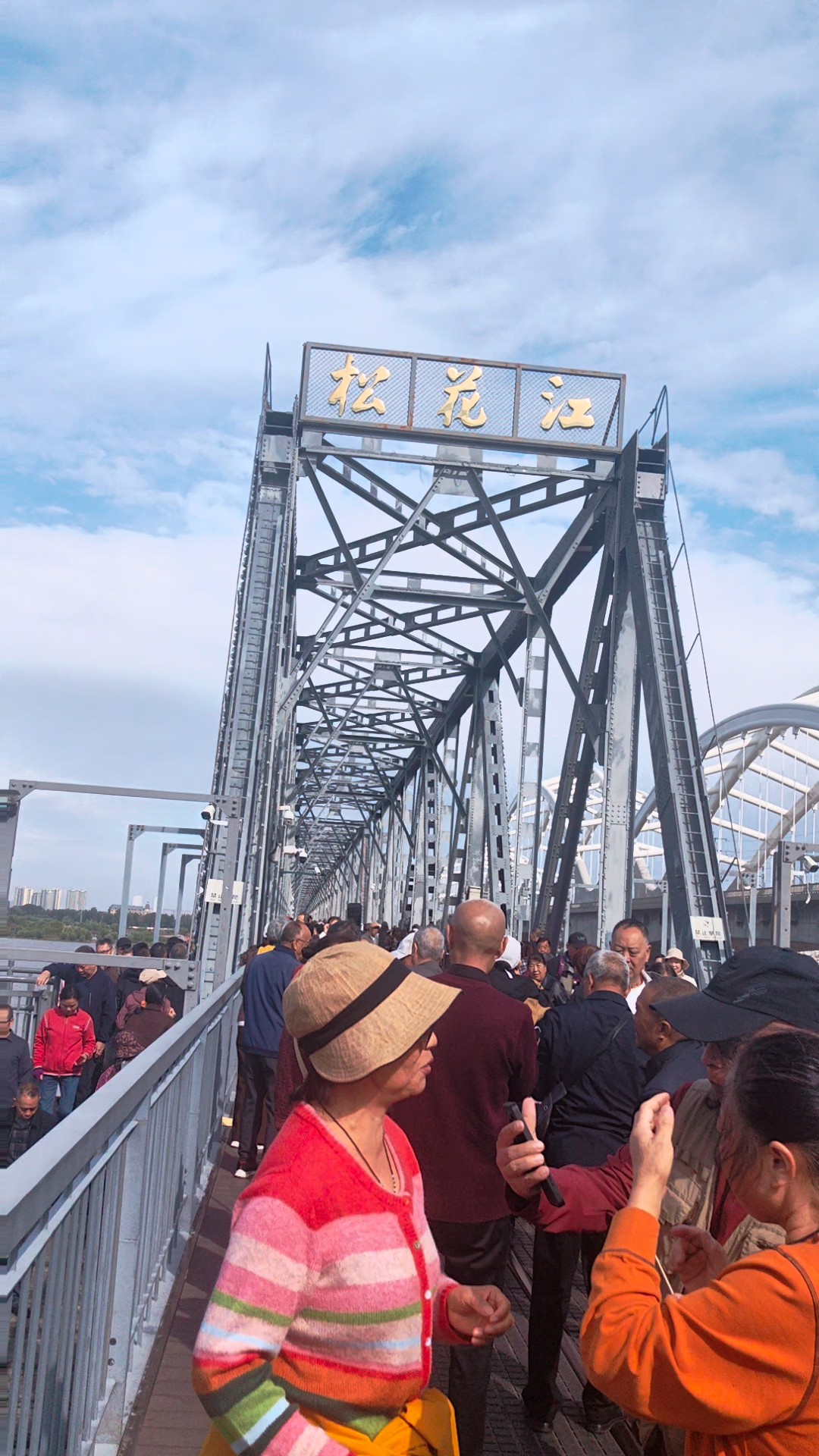 北疆行：从大桥俯瞰松花江 秋阳灿烂 ，江水滔滔，海鸥自由飞翔