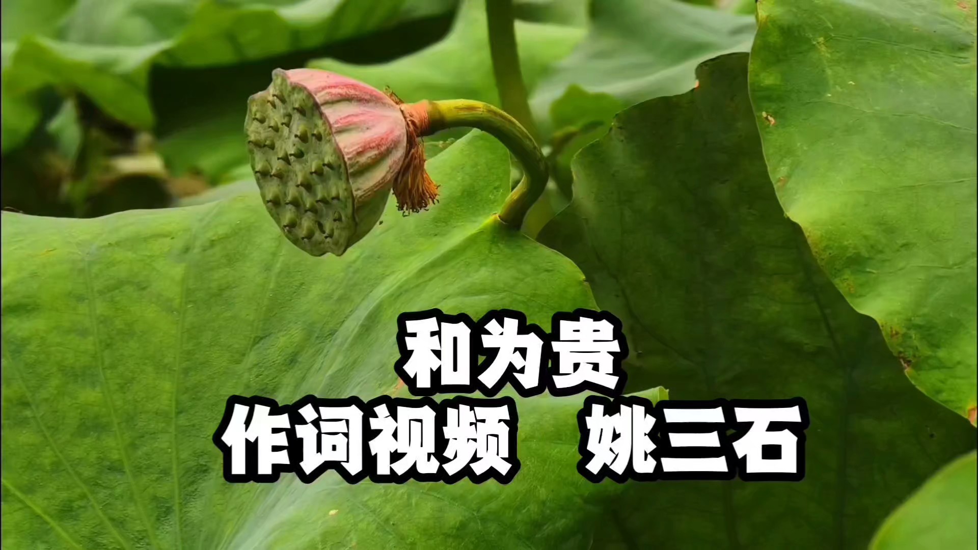 原创歌曲《和为贵》（作词视频  姚三石）