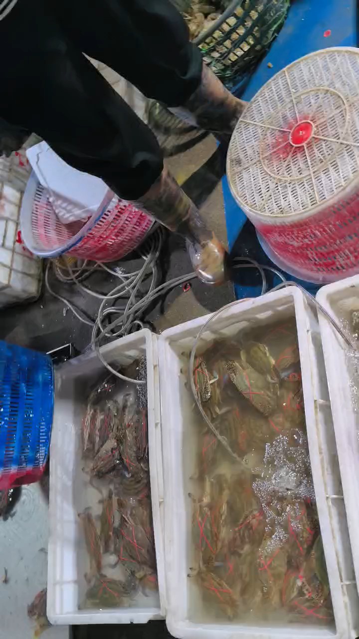 渔港品种齐全，质量提升，晚间价格较低，建议消费者晚上六点购买