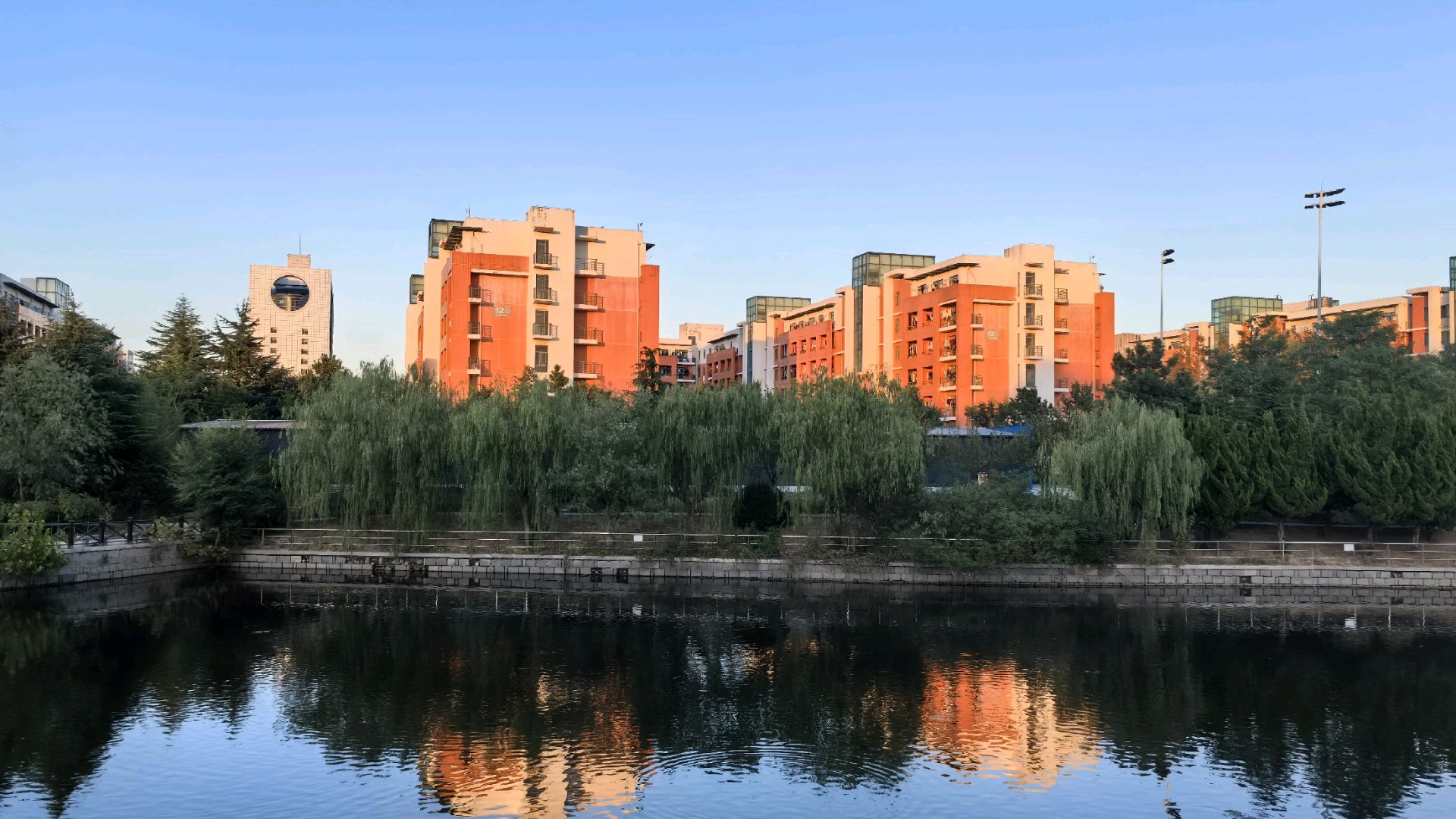 美丽青岛|陪你一起去远方，陪你一起看夕阳