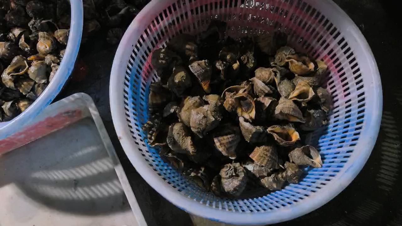 海螺海兔八鮹乌贼都是海鲜中的吉品海货，也是我送亲访友的拿手货