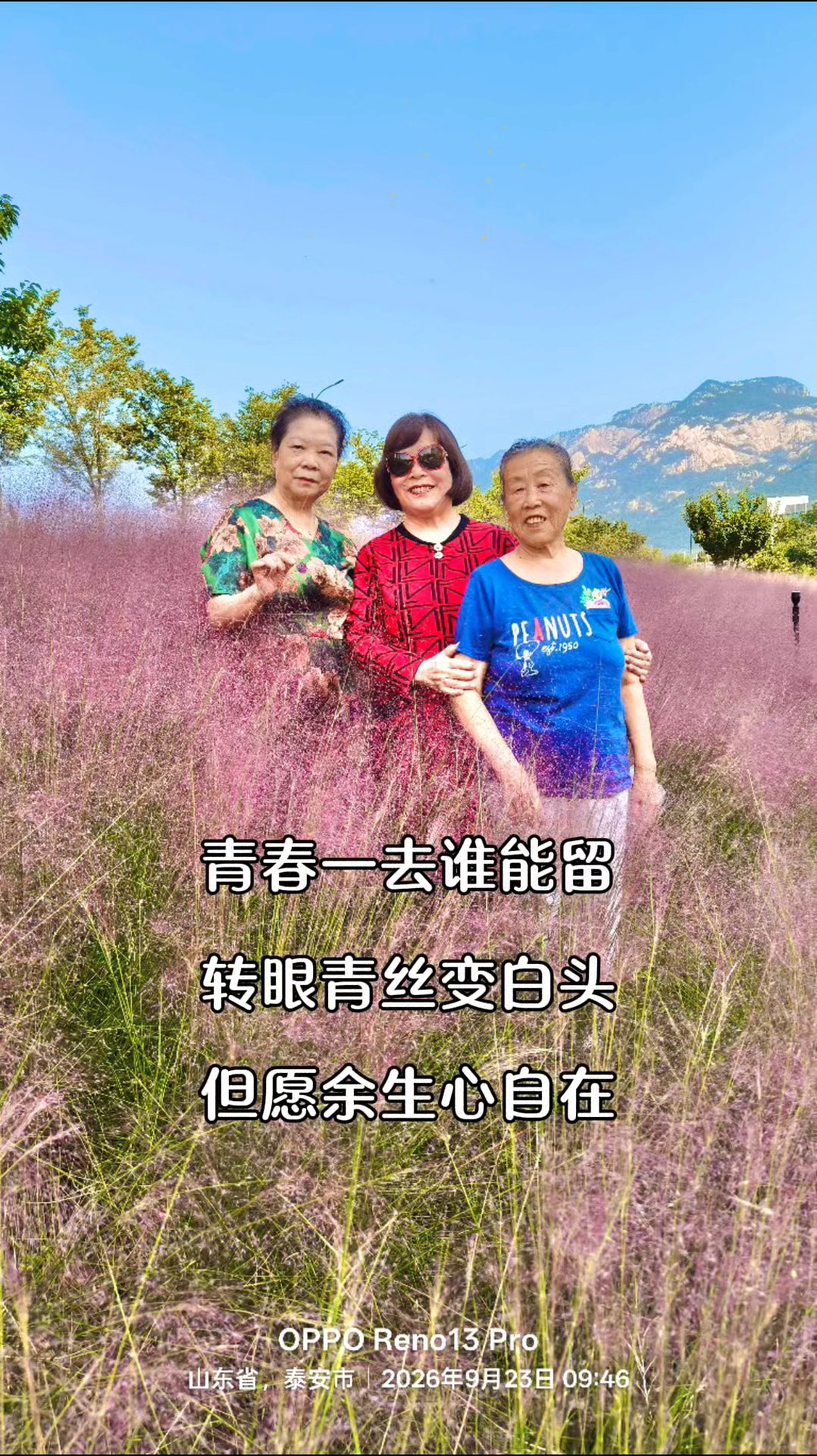 青春一去谁能留