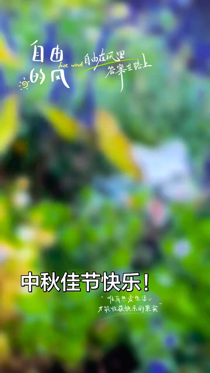 秋光正好，满月安然，历经四季辗转，祝您：中秋快乐、团圆/雨人