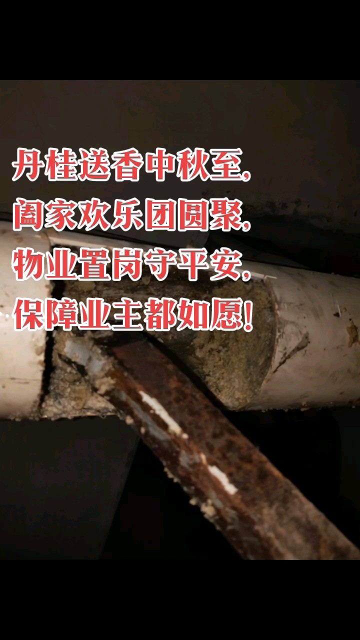 居民与物业应该相互理解相互感念，你了解我的需要我理解你的不易