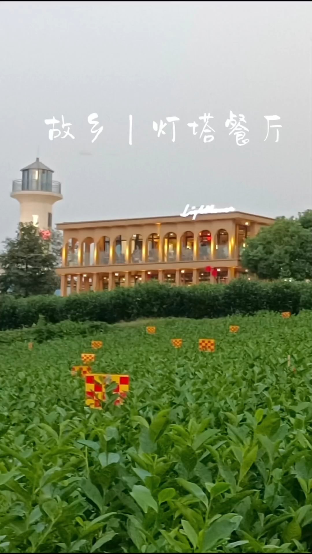 故乡｜灯塔餐厅