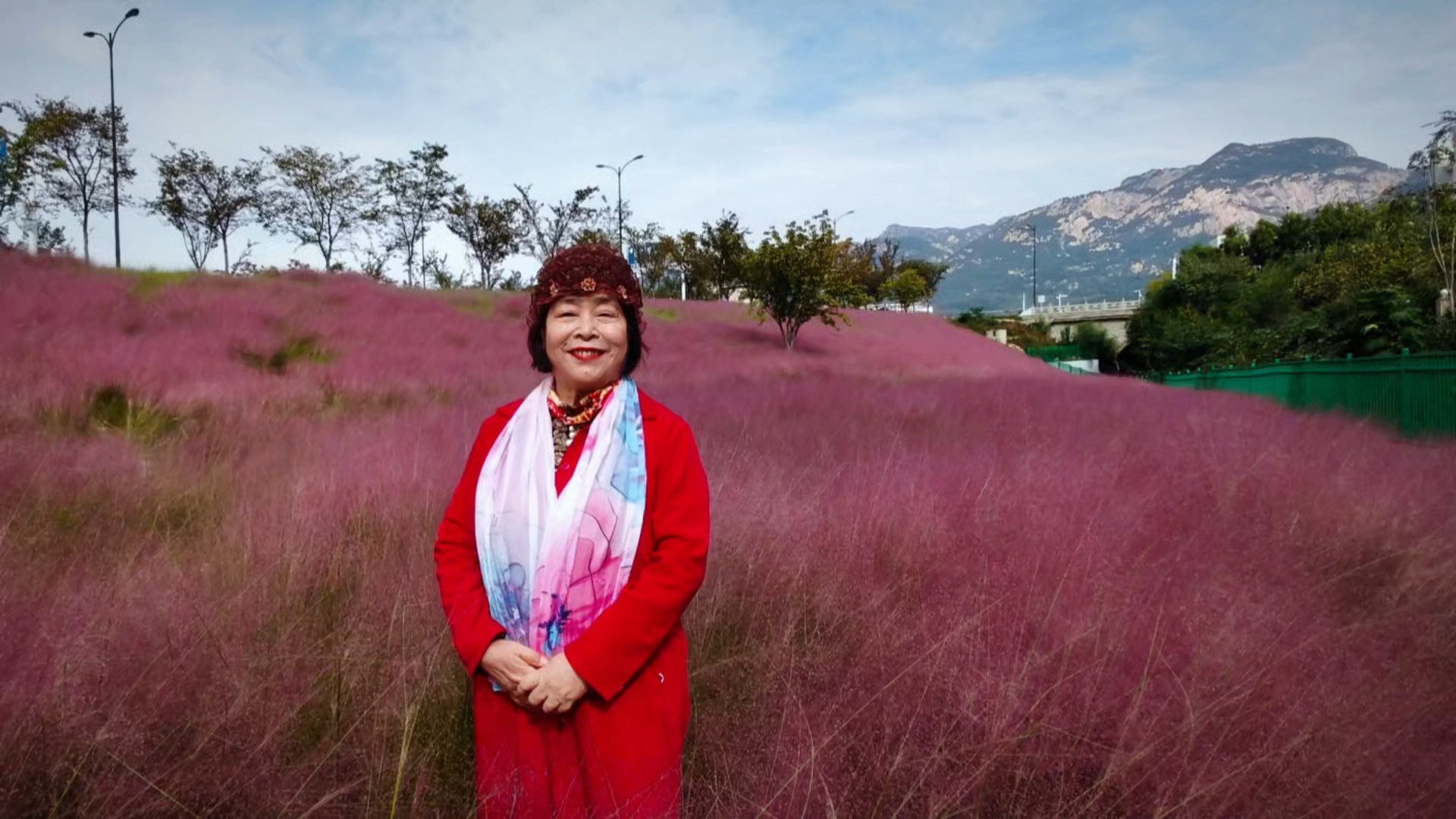 粉黛乱子草花园情怀
