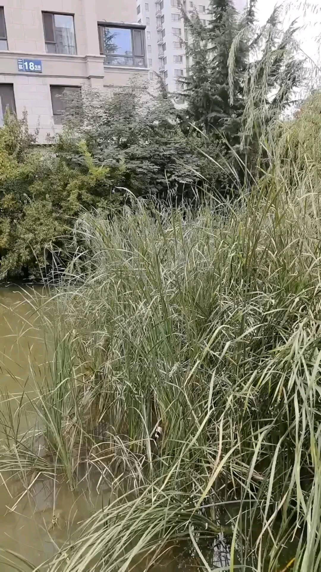 美丽的秋天