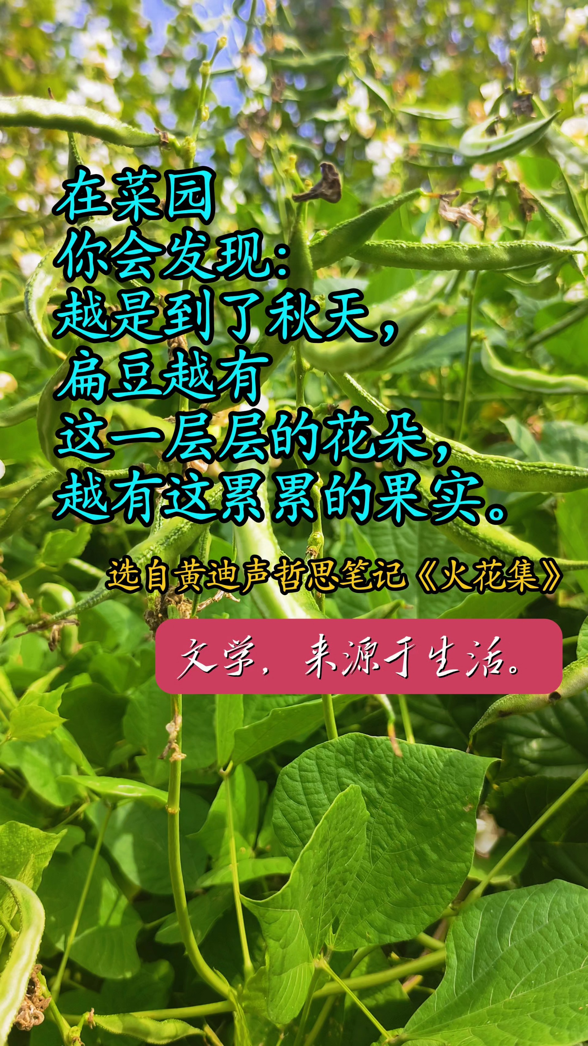 诗人黄迪声哲思笔记《火花集》（之十二）