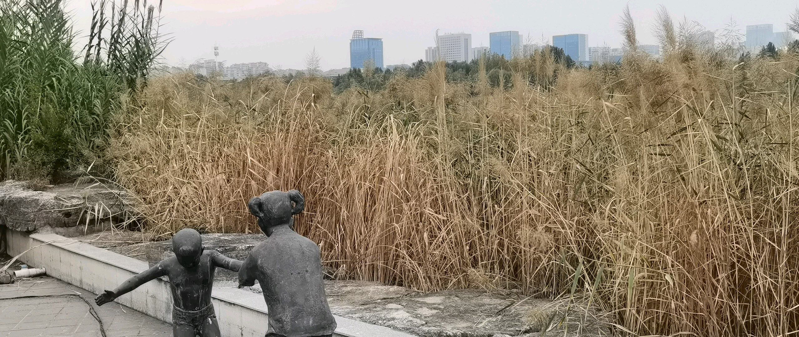 秋天的芦苇荡/拍摄于齐盛湖公园/大海