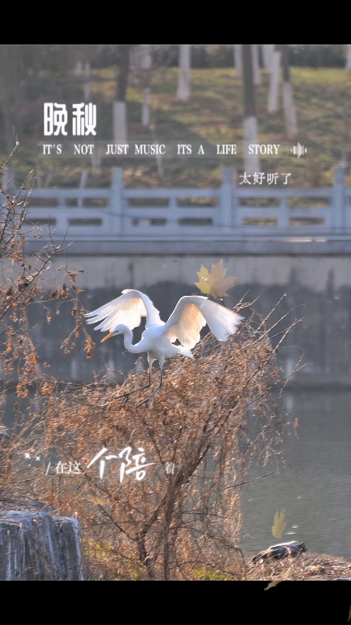 一首非常好听的歌